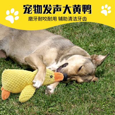 Cross border dog toy plush, bite resistant, sleep accompany