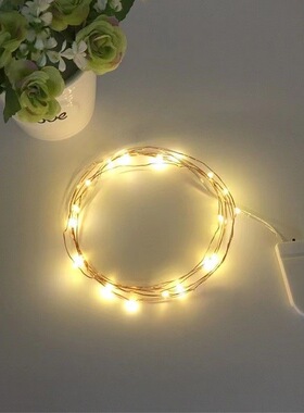 Factory wholesale 2025 button battery box copper wire lamp