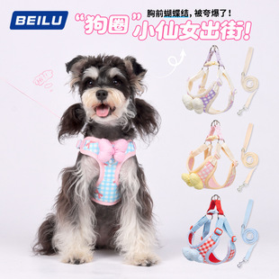 teddy pet back outdoor and leash chest bear New puppy dog