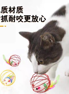 Cat Toy Ball, Cat Teasing Stick, Kitten Mouse, Self pleasur