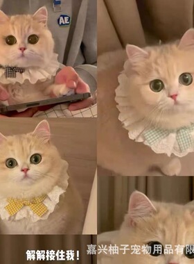 Cat lace scarf, collar, drool towel, pet fairy, young doll,