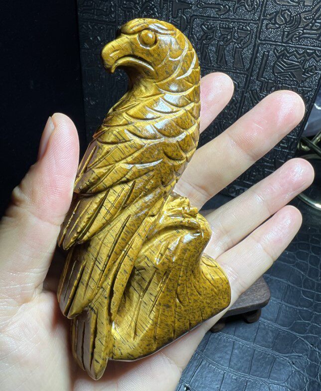 천연 노란색 호랑이 눈 돌 앵무새는 영웅적이고 특별합니다