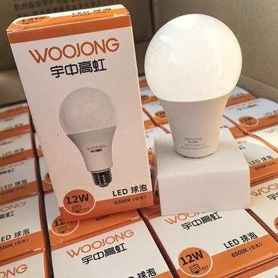 宇中高虹12W白光A65无频闪