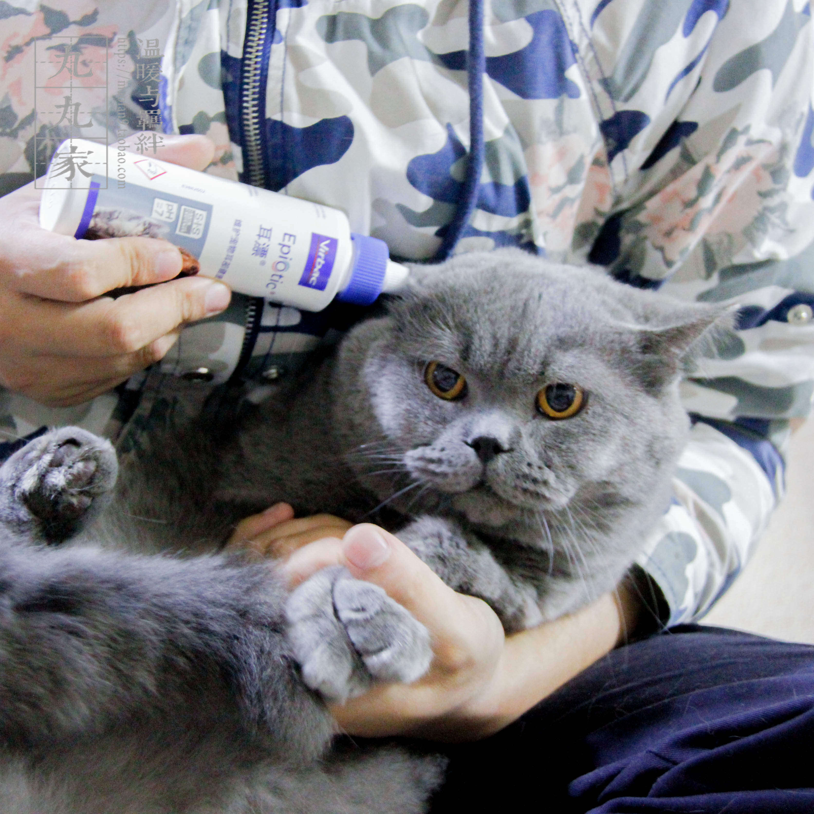 丸丸家 法国virbac维克耳漂猫狗洗耳水耳螨耳炎耳臭宠物耳液60ml