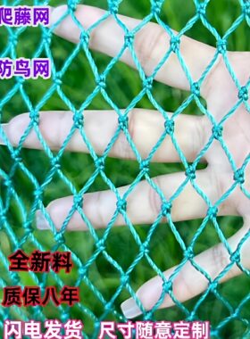 防鸟天网养殖网养鸡网果园大棚网