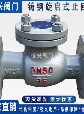 H44H-16C-25C铸钢旋启式止回阀 法兰止回阀DN50 80 100 150 200