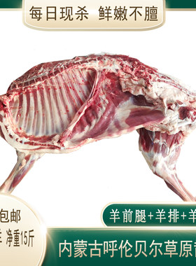 羊排羊前腿羊后腿内蒙古新鲜羊肉