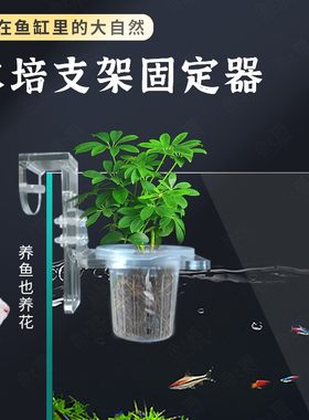 鱼缸水培支架定植篮壁挂水培植物
