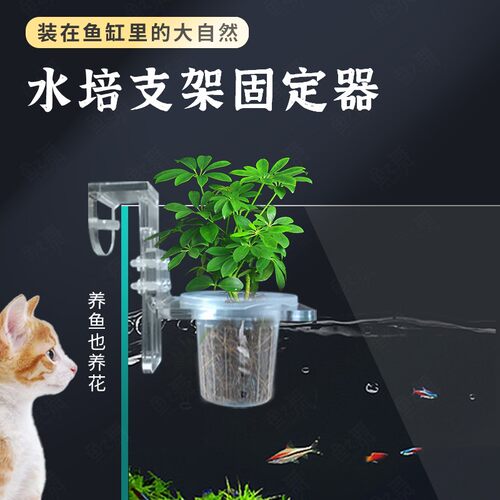 鱼缸水培支架定植篮壁挂水培植物