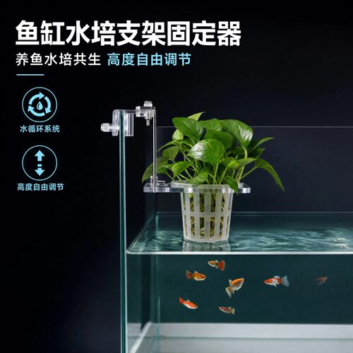 鱼缸水培支架定植篮壁挂水培植物