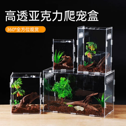透明亚克力爬宠饲养盒爬虫宠物甲虫守宫箱蜥蜴角蛙蜘蛛生态螳螂盒