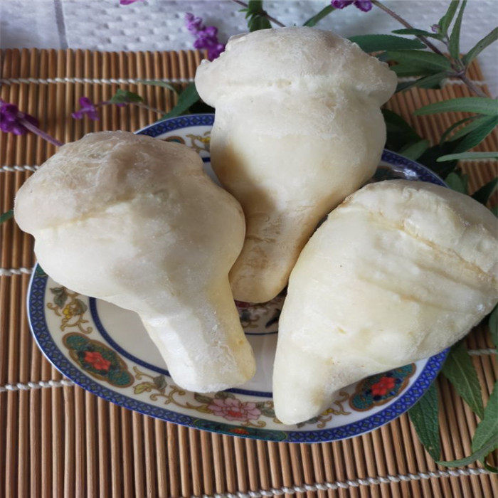 云南野生菌老人头 速冻冰冻 沙老包特色食材火锅餐厅配菜