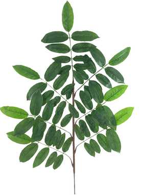 新品仿真植物核桃叶7叉枝香樟树叶灌木叶杜鹃叶四季绿植装饰直销