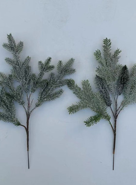 仿真植物五叉岷江带雪冷杉云杉水杉秦岭杉兴安落叶松红白杉木直销
