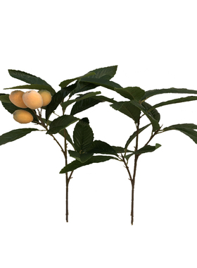 新品仿真绿植枇杷叶叉枝芦橘