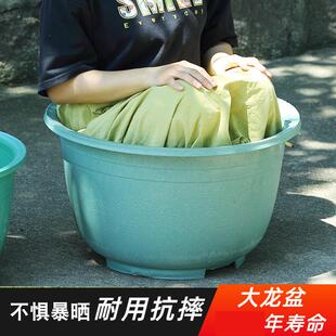 种植大盆栽花盆塑料专用加厚培土花盆有孔特大号龙缸盆果树橘子种