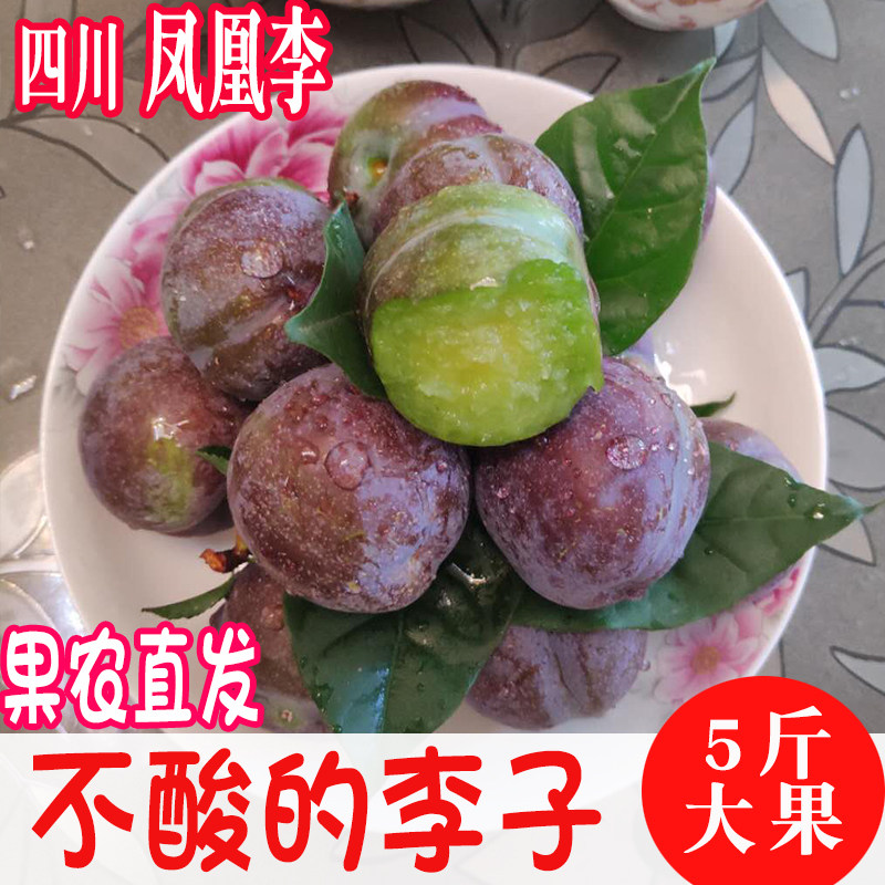 不酸的李子凤凰李五月脆四川