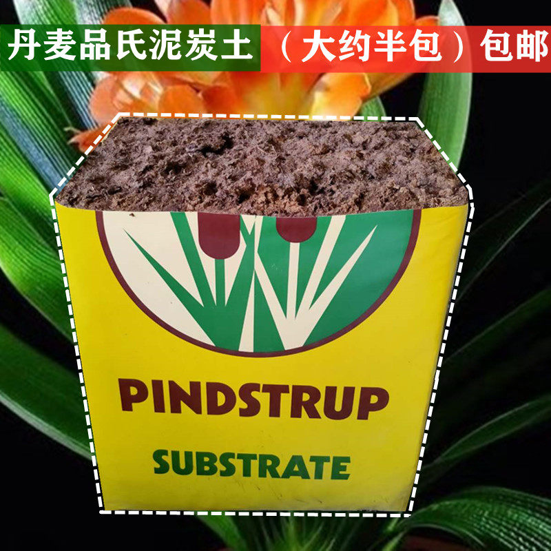 泥炭土种君子兰子涵园艺刘老师