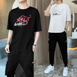 牛气冲天夏季休闲时尚运动套装男韩版时尚套装A210-TZ8608-P60图片