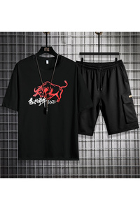 2夏季短袖T恤男套装潮流短裤五分裤套装男A210-TZ6861-P55图片