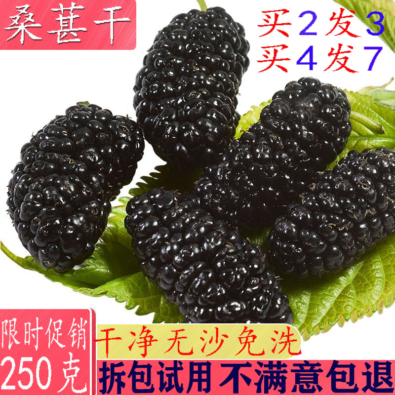 桑葚干250克食用级桑葚零食泡水泡酒可磨桑葚粉包邮买2发3买4发7