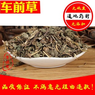 中药材车前草 农家野生车前草 干车前草 车轮菜 500g包邮