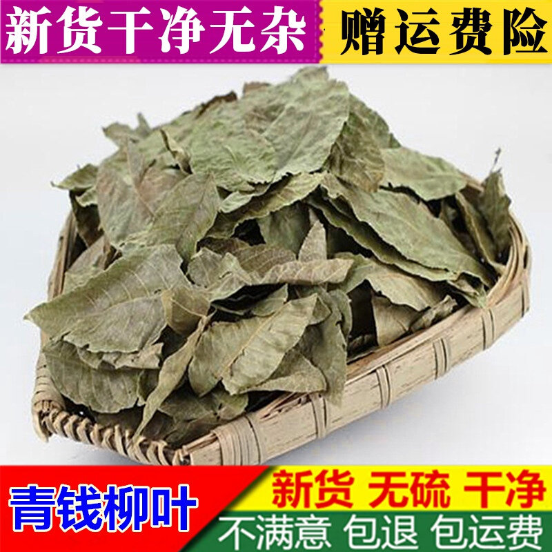 中药材青钱柳500克包邮 金钱柳 青钱柳茶 正品包邮 中草药大全