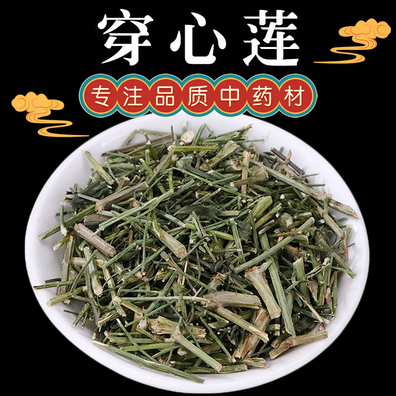 野生穿心莲中药材500克 穿心莲茶穿心连一见喜川心连川心莲穿芯莲