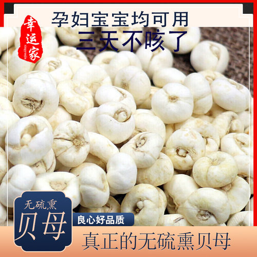 贝母中药材平川贝母可磨粉