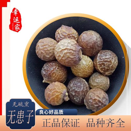 中药材无患子圆皂角中草药