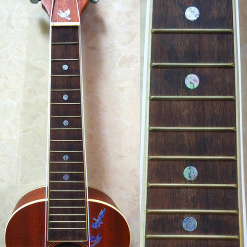 指板圆点抖音同款ukulele快手