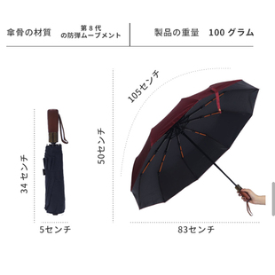 0313 雨伞 JANE JCMM