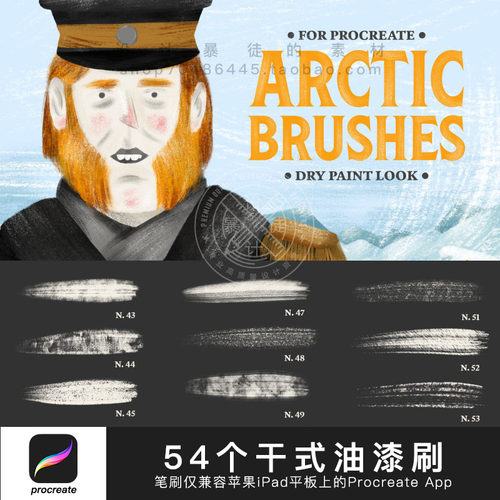 苹果iPad平板Procreate APP 54个专业手绘插画 干式油漆质感笔刷
