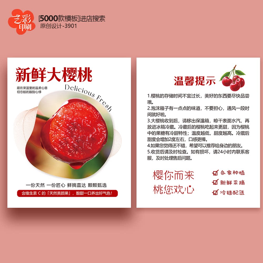 樱桃卡大樱桃卡片车厘子烟台大连樱桃保存方法卡片定制印刷