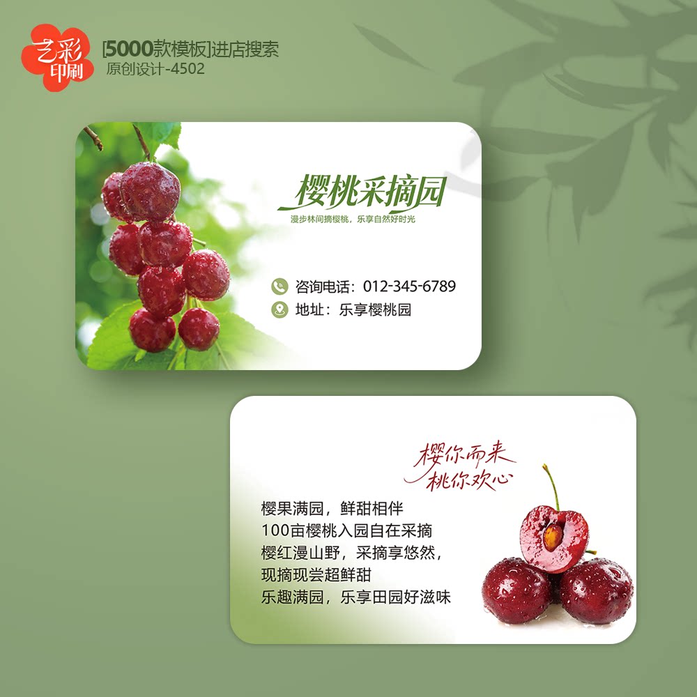 樱桃名片樱桃采摘园名片大樱桃采摘券樱桃园名片定制印刷