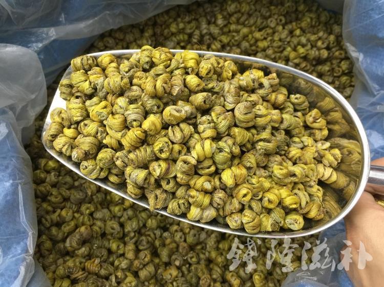 正宗仿野生霍山铁皮石斛枫斗鲜条加工有胶质水草石斛枫斗250g起批