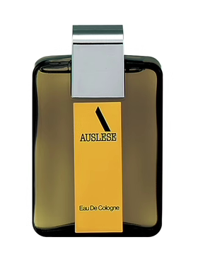 日本委托代买资生堂 shiseido AUSLESE 精选男士香水古龙水120ML