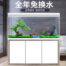 中小型家用客厅免换水懒人生态玻璃1