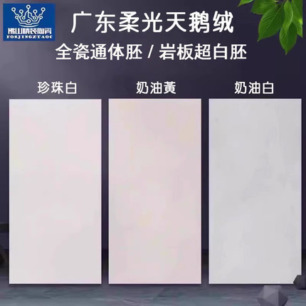 柔光砖天鹅绒微水泥肌肤釉瓷砖600x1200客厅地砖奶油风超白胚墙砖