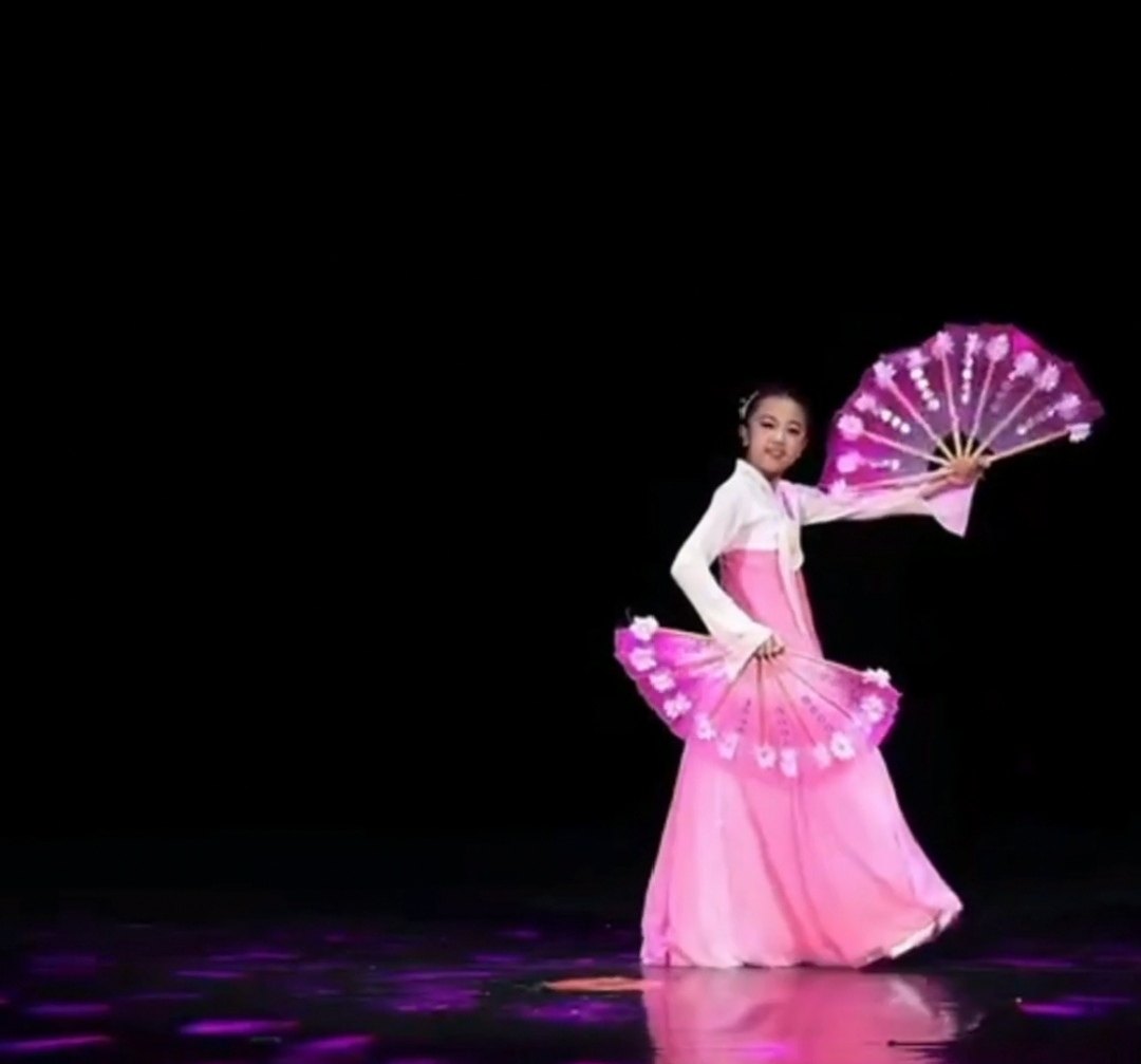 花扇子跳舞扇子透明舞蹈扇子