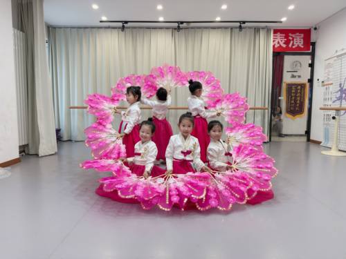 小小长今舞蹈扇子朝鲜族舞蹈扇子跳舞扇子开场舞扇子花朵扇子儿童