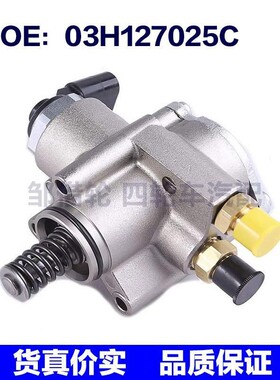 适用于奥迪高压燃油泵 95511031600 03H127025C 95511031600