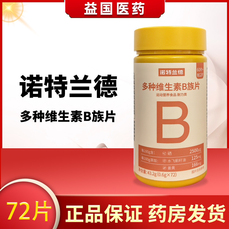 诺特兰德多种维生素B族片 72片/瓶