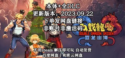 双截龙外传：双龙出海 全DLC PC中文单机游戏 免steam 包更新