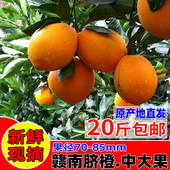 包邮 正宗江西赣南脐橙20斤赣州寻乌甜橙子当季 新鲜孕妇水果手剥橙