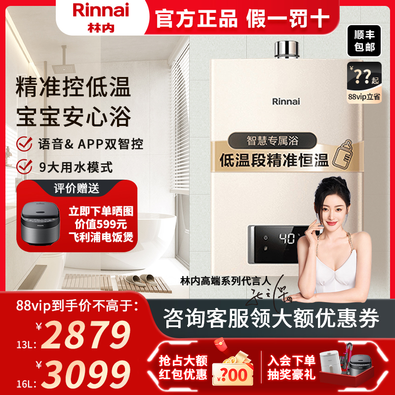 Rinnai/林内 JSQ31-C21W燃气热水器家用恒温天然气智能安全进口 大家电 燃气热水器 原图主图