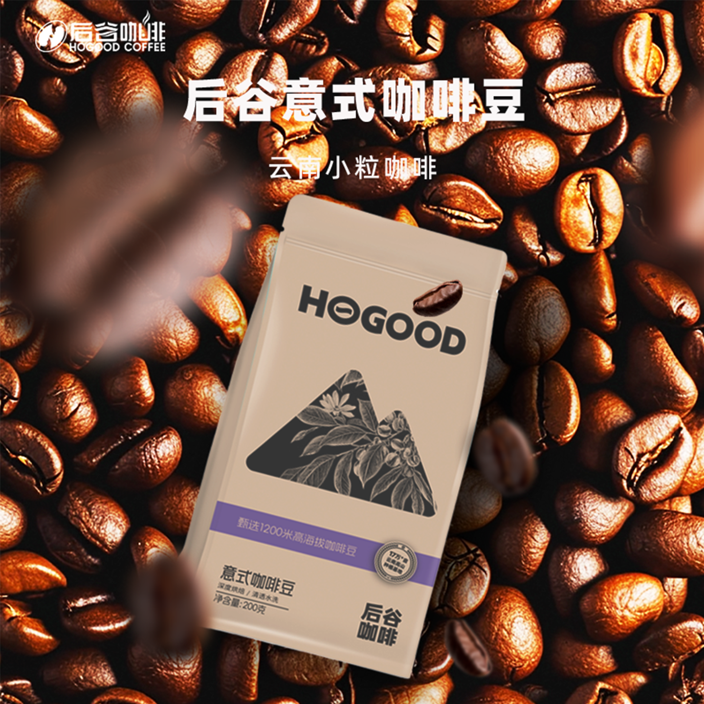 蓝山SOE/精品云南咖啡豆中度烘焙