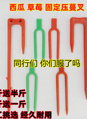 草莓甜瓜育苗压蔓器生根