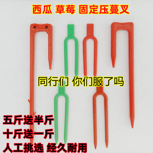 草莓育苗叉子甜瓜西瓜压蔓器生根压苗叉藤蔓走茎定植物固定器加长