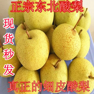 酸梨安梨东北特产正宗辽宁绥中酸梨河北大酸梨开胃酸甜5斤装包邮
